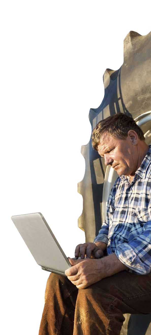 Анализируйте зерно в поле