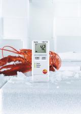 Мини-логгер данных температуры testo 184 T3